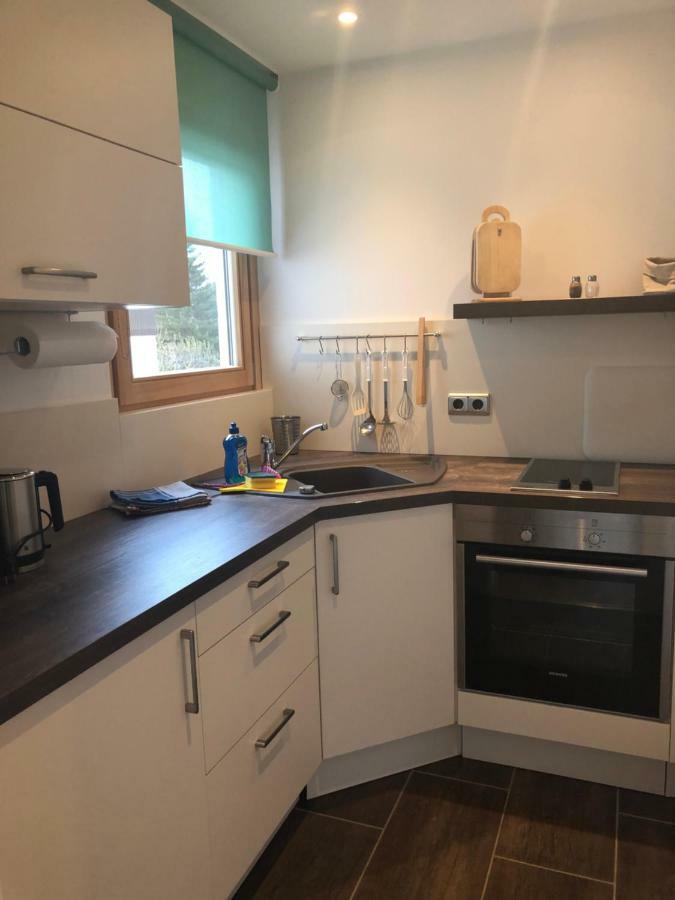 Wohnung Edelweiss - Wohnen Auf Zeit - Homeoffice - Nah Am See - Buchbar Ab 28 Naechte 施利尔塞 外观 照片